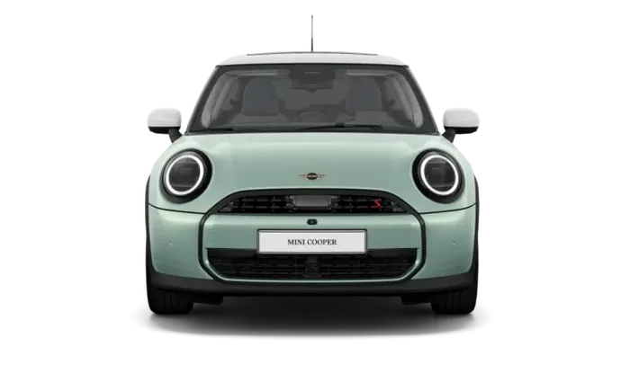 선택한 MINI