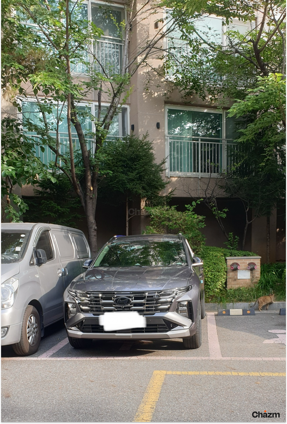 후기 사진