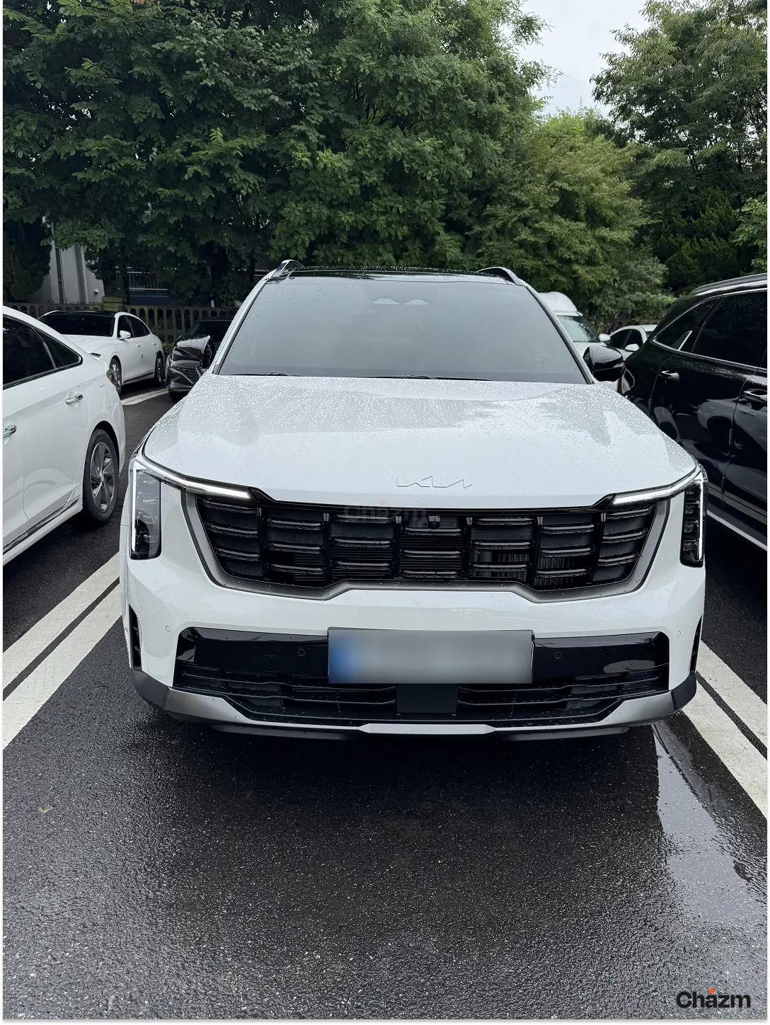후기 사진