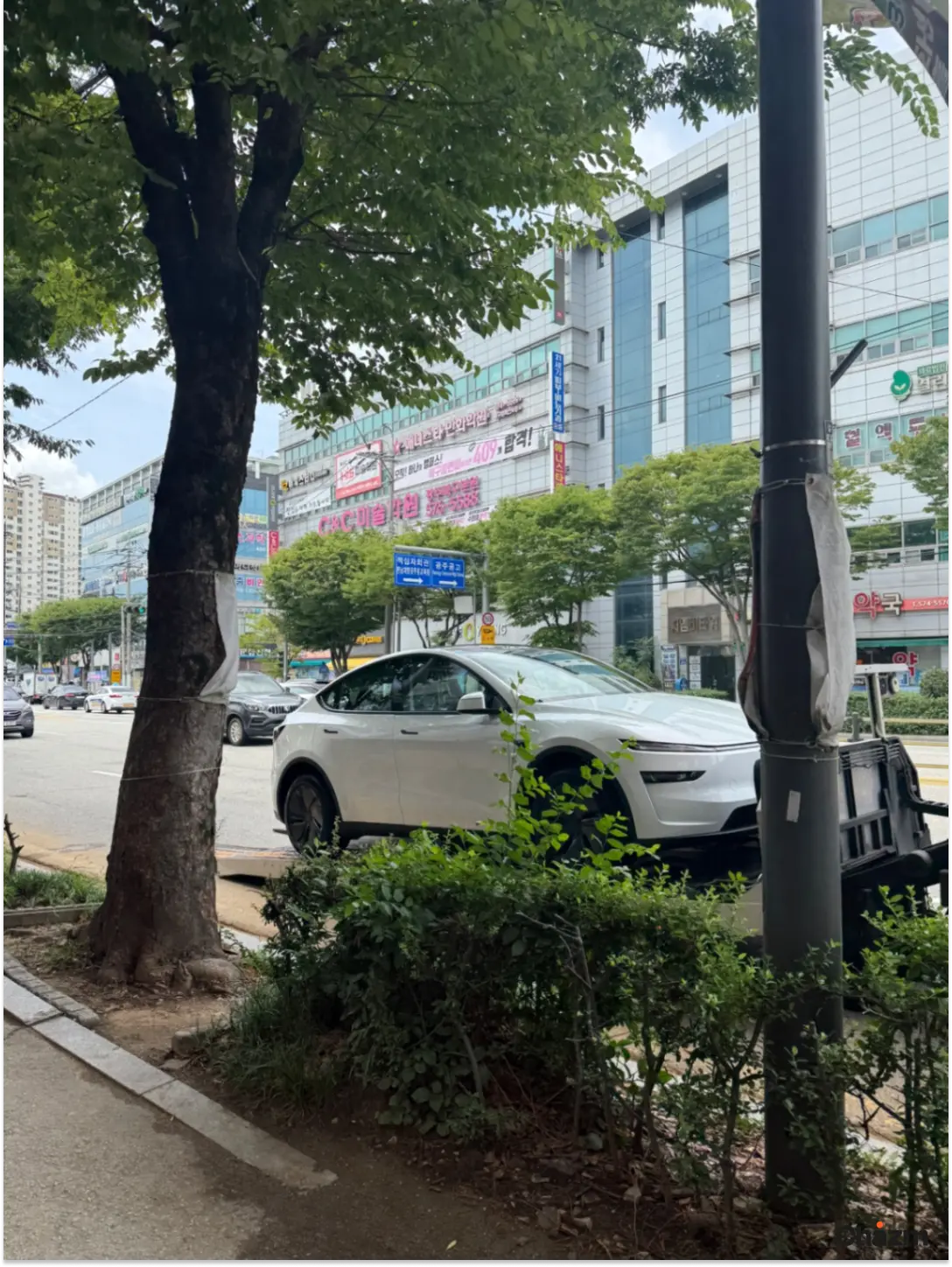 후기 사진
