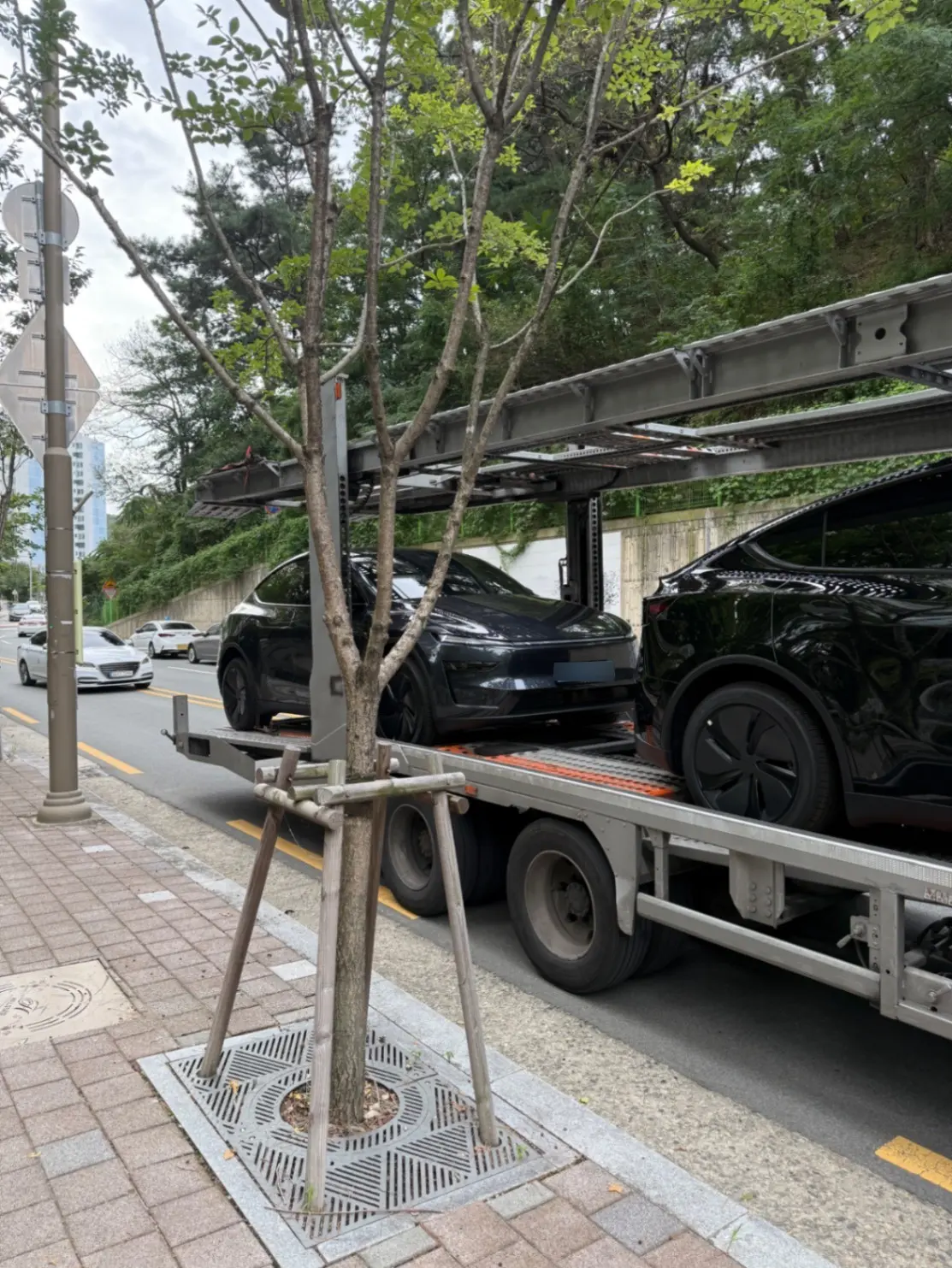 후기 사진