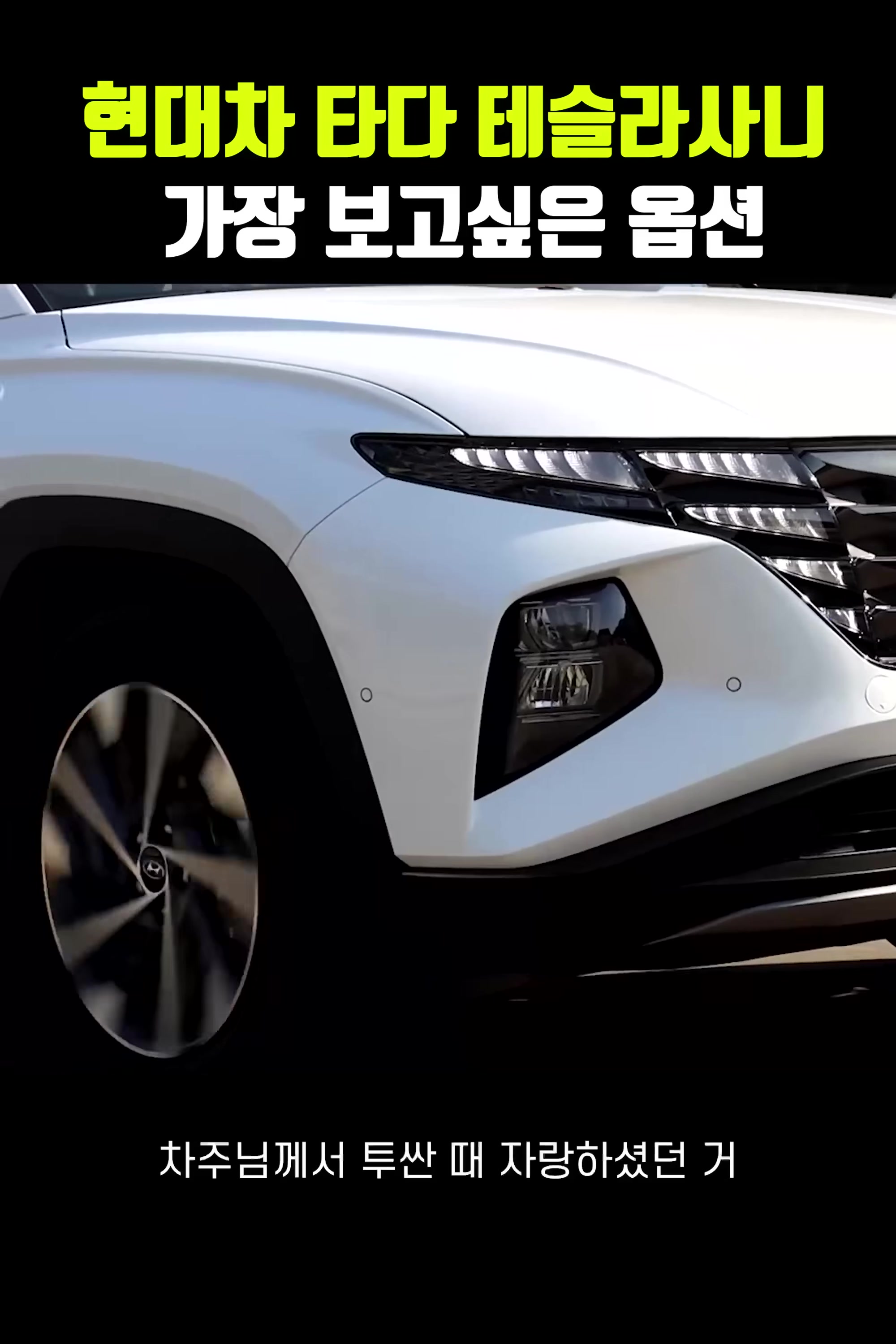 국산차 팔고, 테슬라 사보니 가장 보고싶은 옵션은...