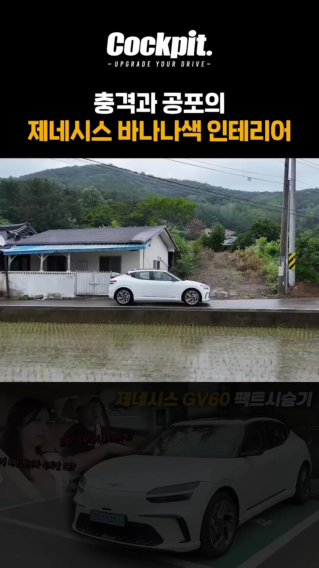 충격과 공포의 바나나가죽